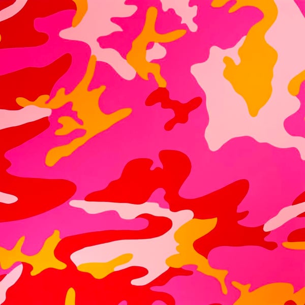 Camouflage, II.408