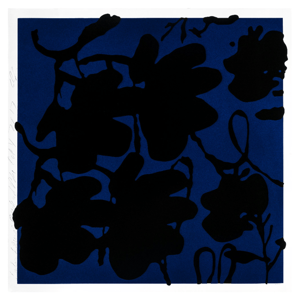 Lantern flowers (Black & blue)