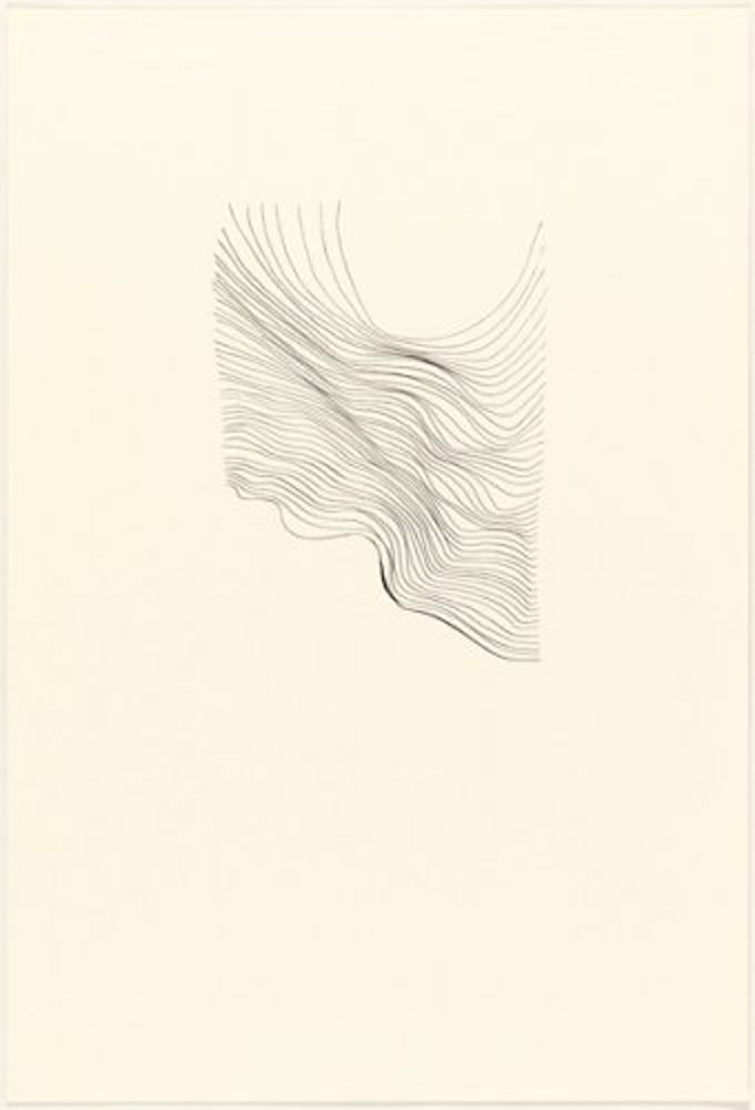 León Ferrari – Mod. 3, 2009 – Lithograph