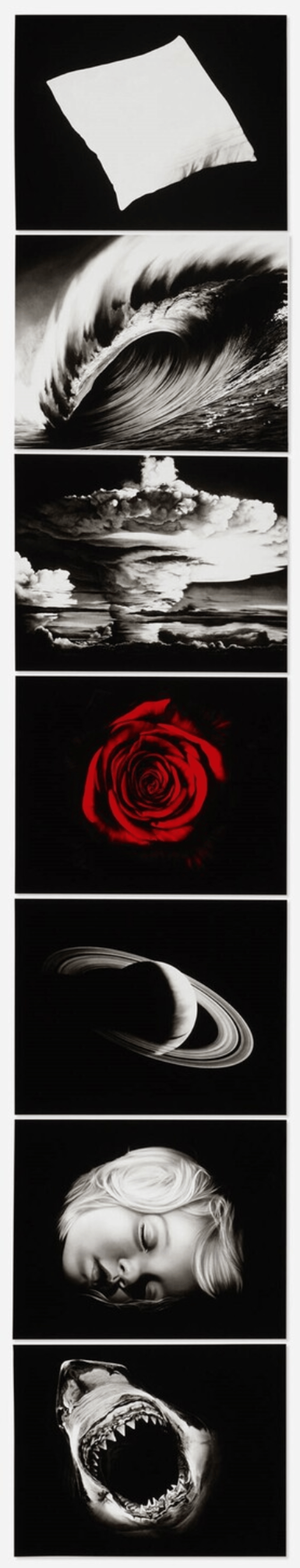 Robert Longo – Essentials (from the Forty Are Better Than One series), 2009 – Pigment print