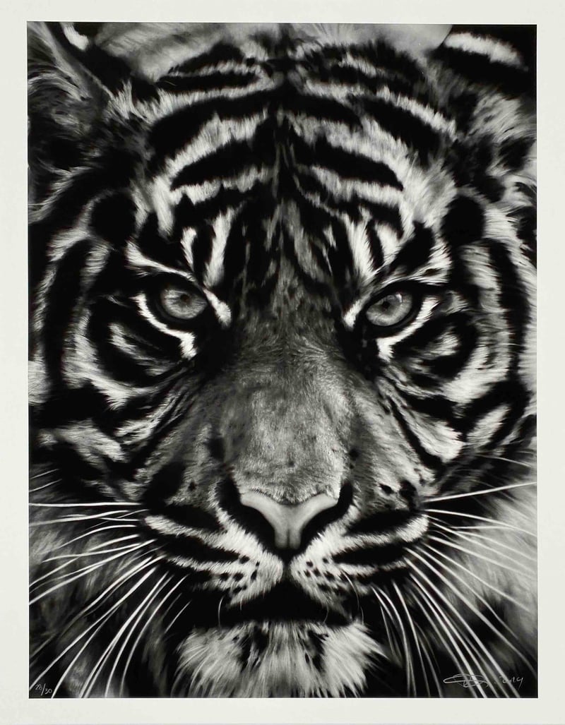 Robert Longo – Untitled (Tiger II), 2014 – Pigmentdruck