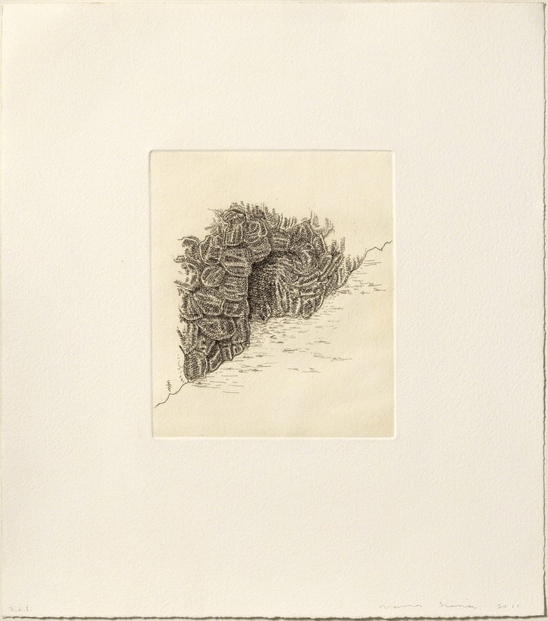 James Siena – Cova, 2011 – Aguafuerte