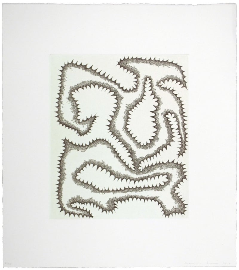 James Siena – Forma enfadada amb dents, 2013 – Aguafuerte