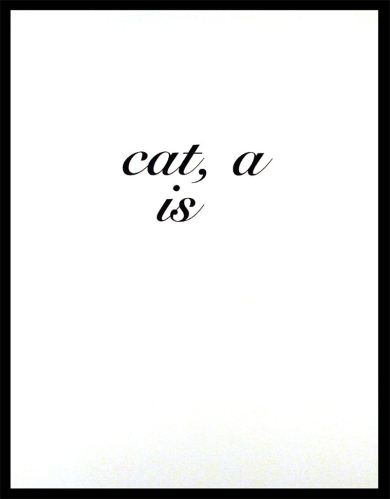 Diana Thater – CAT A IS, 1996 – Impression numérique sur toile