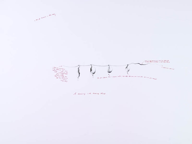 Nedko Solakov – A Drawing with Lacking Things, 2004 – Siebdruck