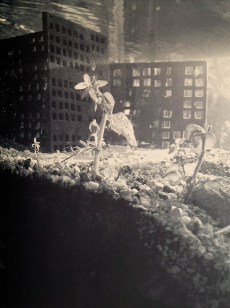 Cristina Iglesias – Aquarium II, 1, 2011 – Photogravure