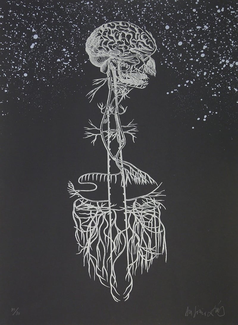 Antonio Dias – Navegador, 2015 – Lithografie