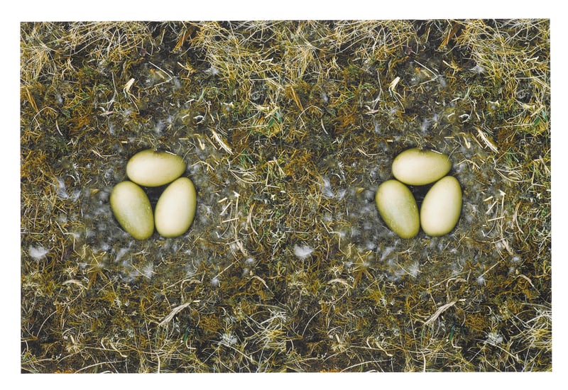 Roni Horn – To Nest, Number 5, 1997 / 2001 – Mischtechnik