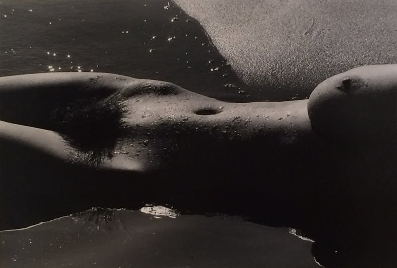 Lucien Clergue – Nyu de la Mer Camargue, 1979 – Fotografía