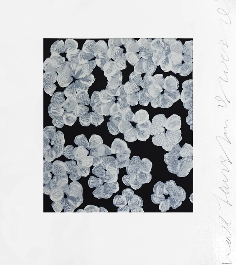 Donald Sultan – Wall flower 8, 2008 – Zeefdruk
