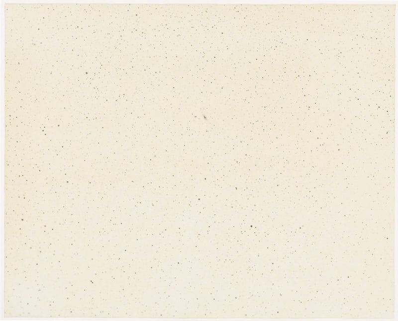 Vija Celmins – Night Sky 1 ( Reversed ), 2002 – Mixed média