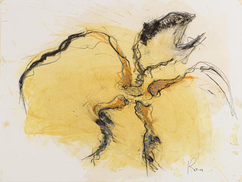 Koen Vanmechelen – Untitled (Chicken II), 1998 – Acryl op papier