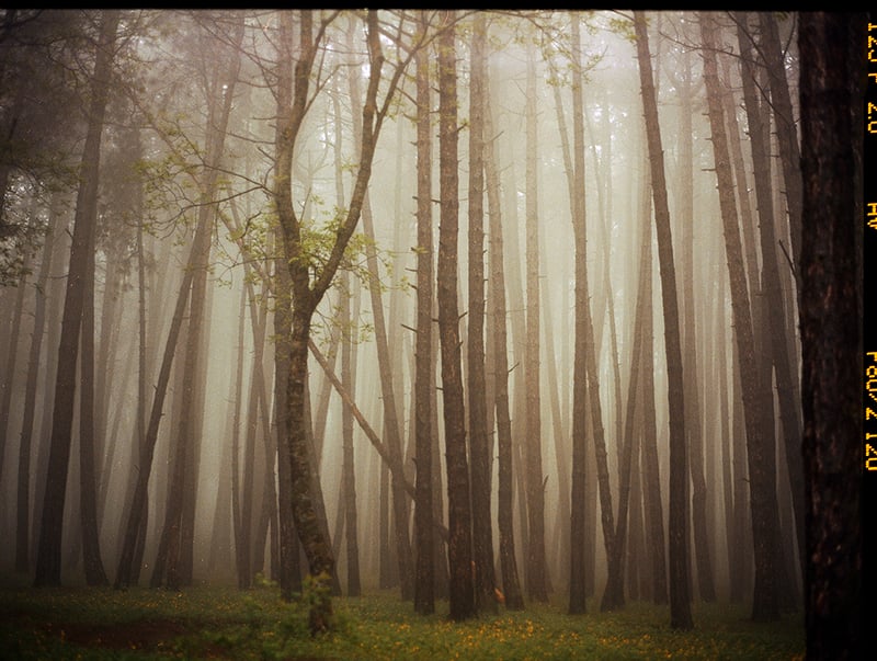 Mariam Sitchinava – Upslope Fog in May, 2021 – Fotografía