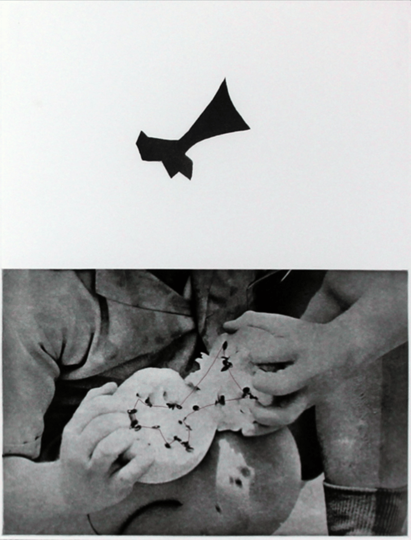 John Baldessari – Seeds, 1986 – Radierung und Aquatinta