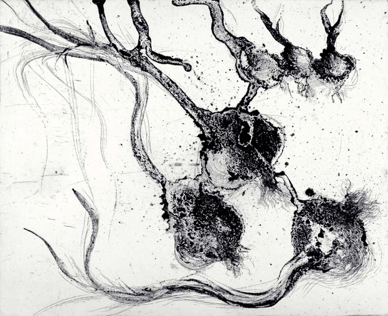 Miquel Barceló – Lanzarote 25, 2000 – Etching and Aquatint