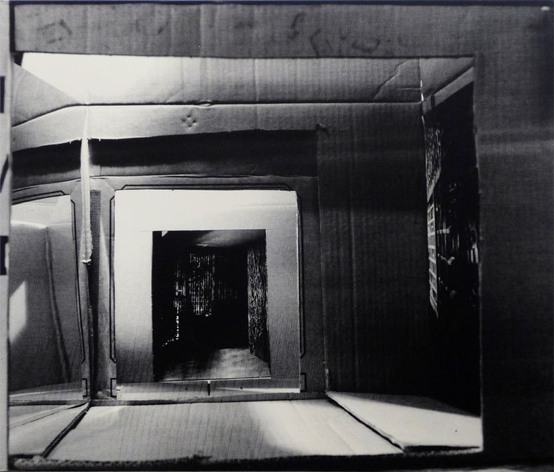 Cristina Iglesias – Habitación XI (b&w), 2002 – Sérigraphie/Silkscreen
