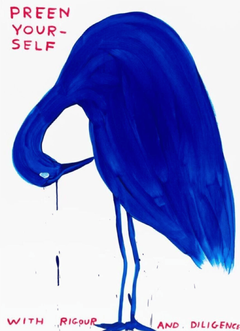David Shrigley – Preen Yourself, 2023 – Siebdruck
