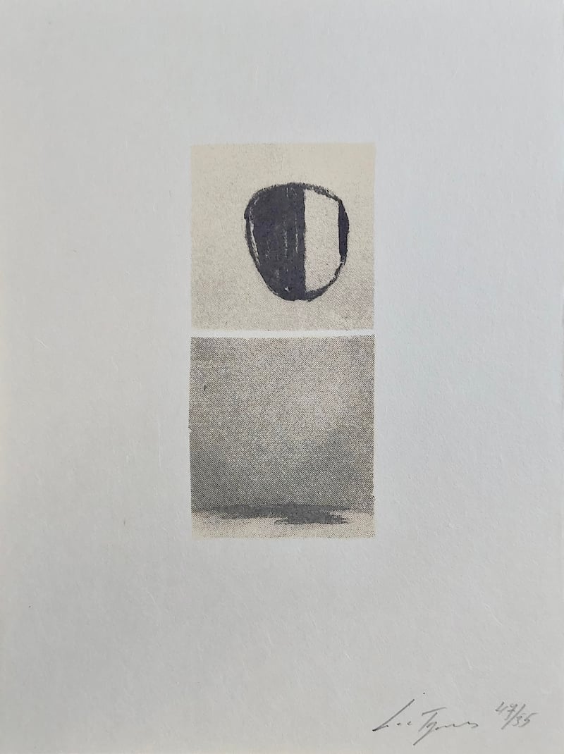 Luc Tuymans – Het versluierd beeld, 2001 – Zeefdruk