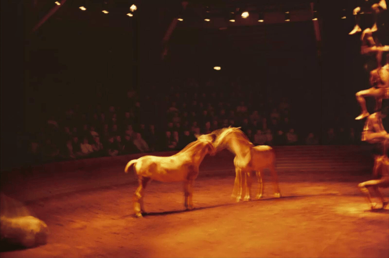 Nan Goldin – Triptyk, Zingaro Equestrian Theater, Paris, 2004, 2025 – C-Print