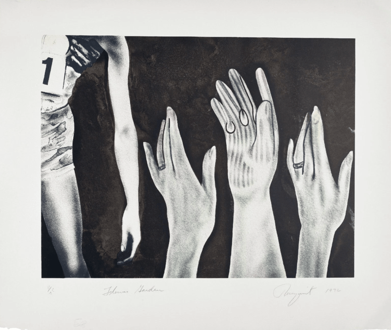 James Rosenquist – Flower Garden, 1972 – Lithograph James Rosenquist – Flower Garden, 1972 – Lithograph