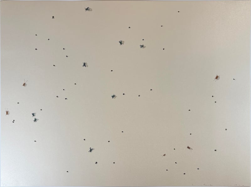 Ed Ruscha – Pearl Dust Combination from the Insects Portfolio, 1972 – Sérigraphie (Screen-print) Ed Ruscha – Pearl Dust Combination from the Insects Portfolio, 1972 – Sérigraphie (Screen-print)