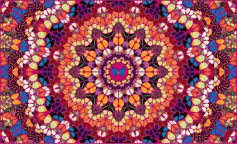 Damien Hirst – Harlequin from The Kaleidoscopes H18-1, 2024 – Giclée-Druck