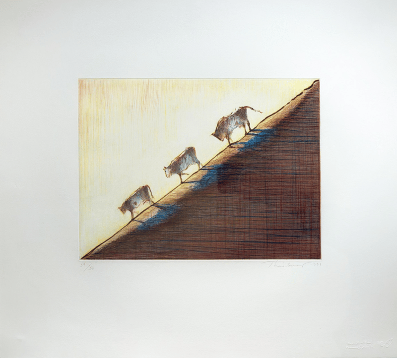Thiebaud Wayne – Three Cows, 1991 – Kaltnadel