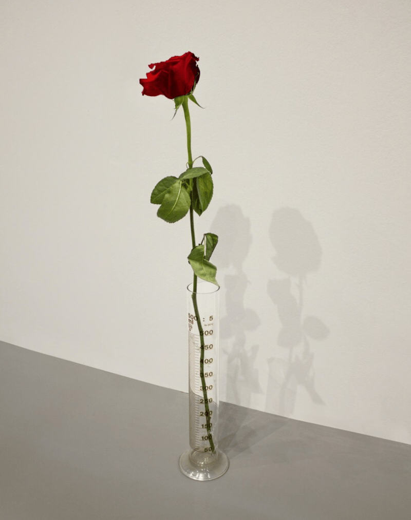 Joseph Beuys – Eine Rose für direkte Demokratie, 1968 – Mixed Media Joseph Beuys – Eine Rose für direkte Demokratie, 1968 – Mixed Media