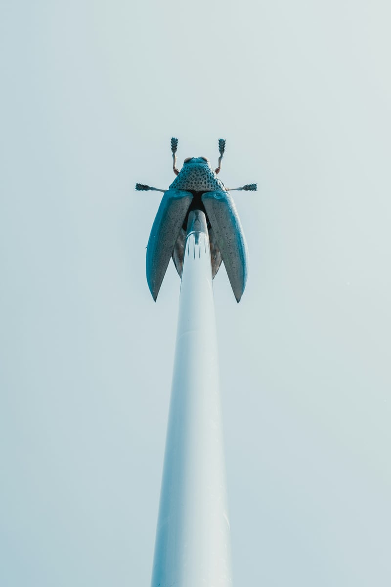 Jan Fabre: Fly in Leuven / Image © Unsplash / Bernard Hermant