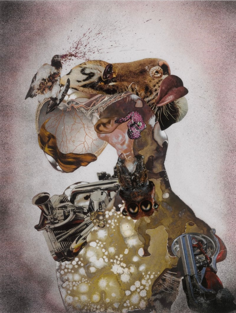 The Flourishing of African Art: Celebrating Diversity and Cultural Exchange in the Art World