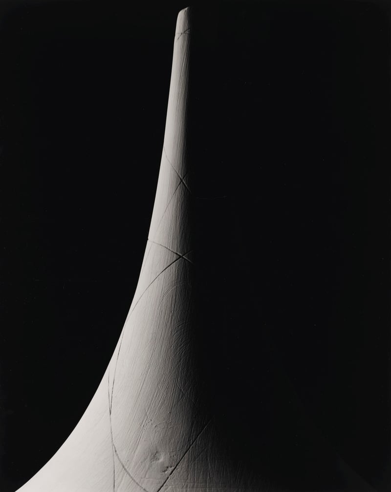 Hiroshi Sugimoto – Surface of revolution with constant negative curvature, 2004 – Photographie Gélatine Hiroshi Sugimoto – Surface of revolution with constant negative curvature, 2004 – Photographie Gélatine