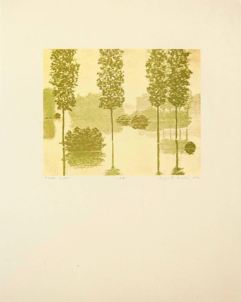 April Gornik – Flood Light, from Art Pro-Choice II, 1991 – Impression en relief?