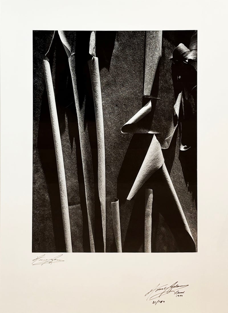 Ansel Adams – Madrone Bark from The Presidential Portfolio, 1980 – Foto